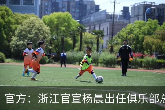 官方：浙江官宣杨晨出任俱乐部总经理